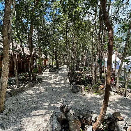 Hotel Bayou