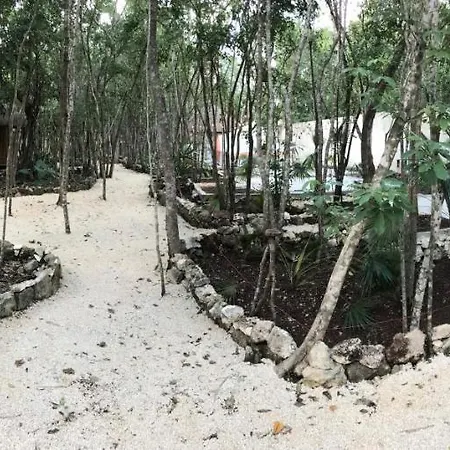 Hotel Bayou