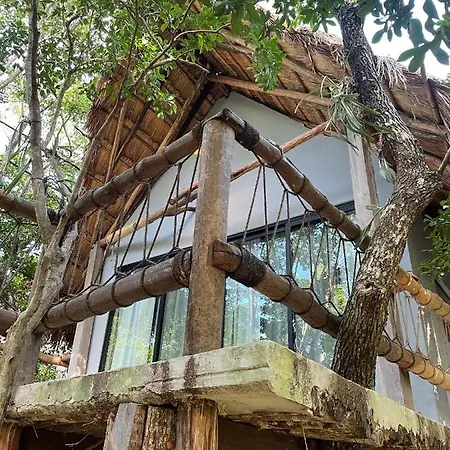 Roc Jungle