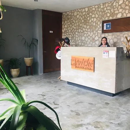 Hotel Ariche &