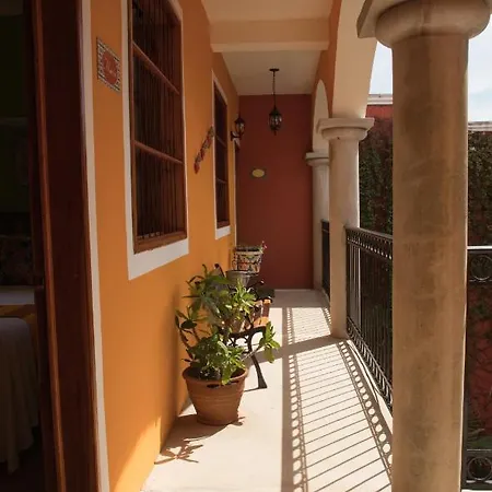 Casa Sofia With Pool 3* Tulum