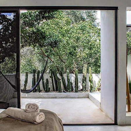 Сasa de vacaciones In La Veleta For 16 Guests Tulum