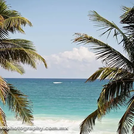 Rosa Del Viento Hotel