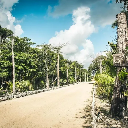Roc Jungle 4* Tulum
