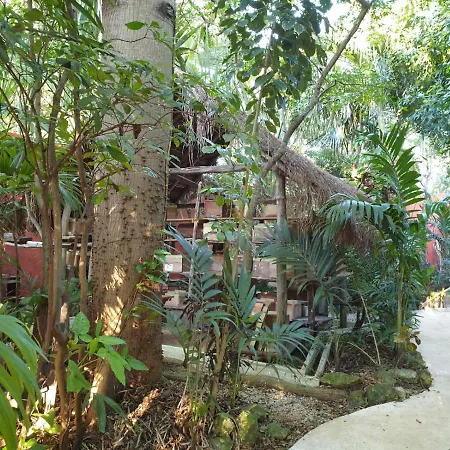 Bed & Breakfast Casa Don Diego
