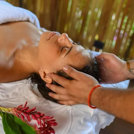 Mayur Tulum