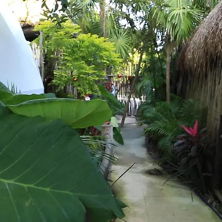 Glamping With Private Mini Pool * Tulum