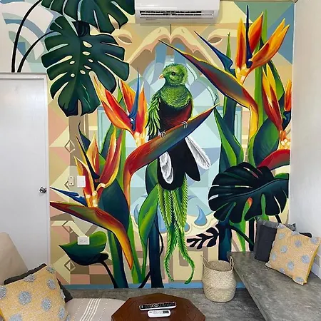 Apartment Katalox Jungle Lofts By Simply Comfort Centre Rooftop Patio & Pool *
