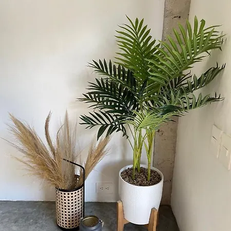 Katalox Jungle Lofts By Simply Comfort Centre Rooftop Patio & Pool Apartment