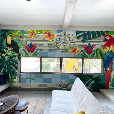 Katalox Jungle Lofts By Simply Comfort Centre Rooftop Patio & Pool Apartment *