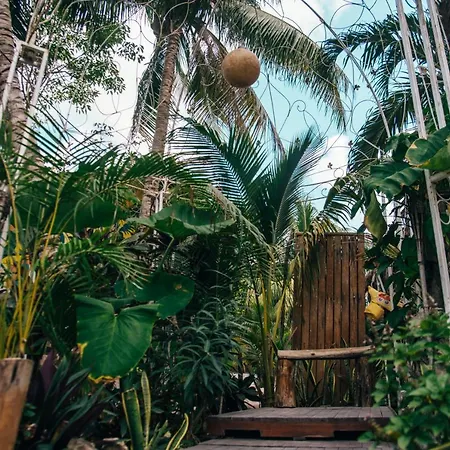 Bed and breakfast Lobo Tulum