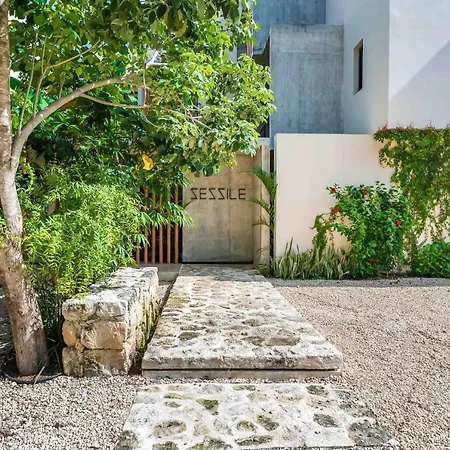 Apartment Sessile By The Spot