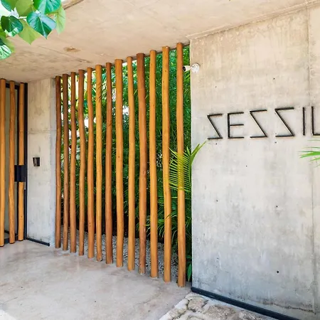 Sessile By The Spot