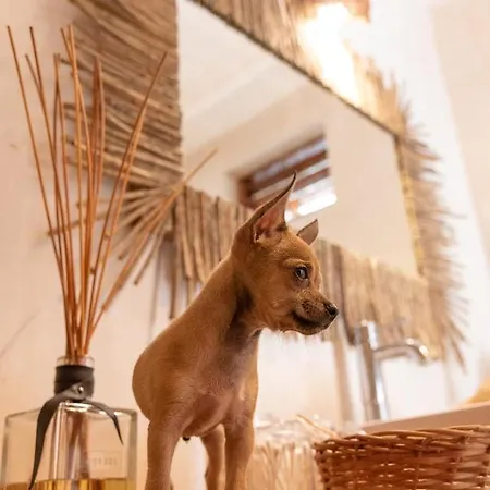 Hotel Gramercy Tulum