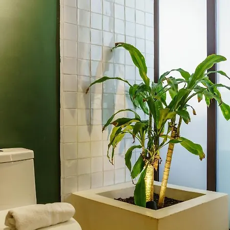 205 Perfect Location 3 Bedrooms Apartment