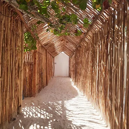 Roc Luxe Tulum
