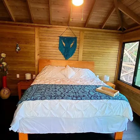 Energy Holistic Ranch *