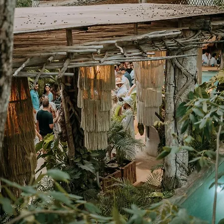 Hotel Orchid House Jungle 5*