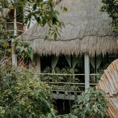 Orchid House Jungle Hotel 5*