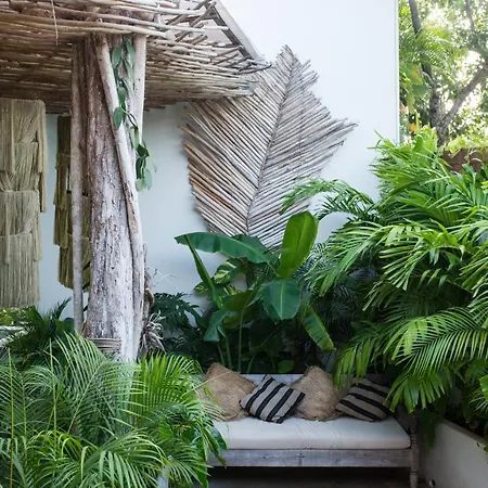 Hotel Orchid House Jungle 5*