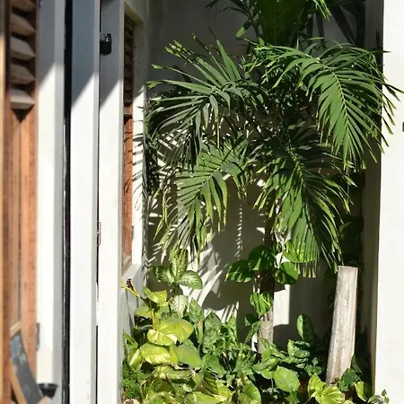 Dona Lucha Hostel Tulum