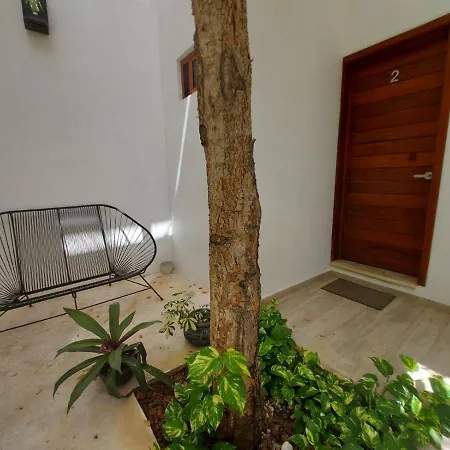 Palma Estudios * Tulum