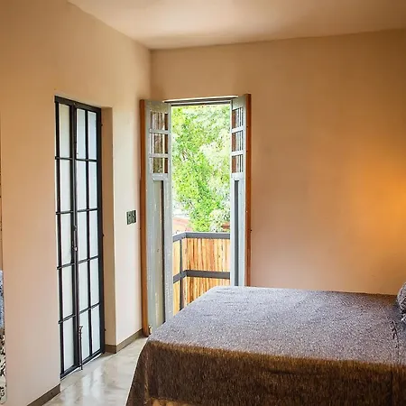 Hotel Botanica *