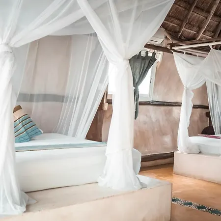 Hotel Lamar Front And Pool Tulum