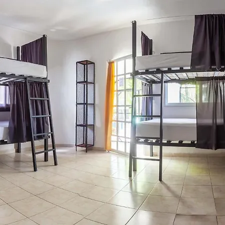 Oryx Hostal