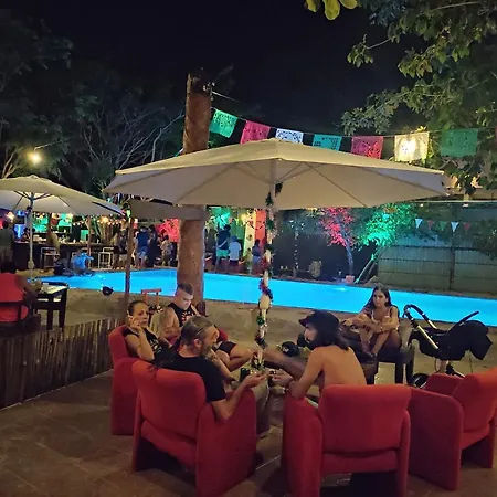 The - Food, Drinks And Transportation To The And Cenotes *