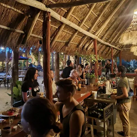 The - Food, Drinks And Transportation To The And Cenotes Tulum