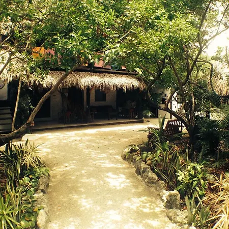 Yoga Shala 3*