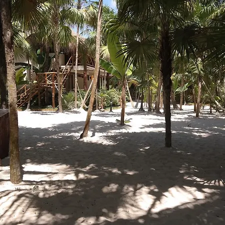 Rosa Del Viento Hotel Tulum
