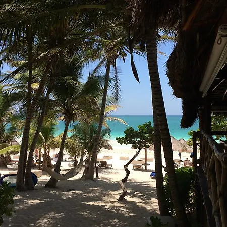 Hotel Rosa Del Viento 4*