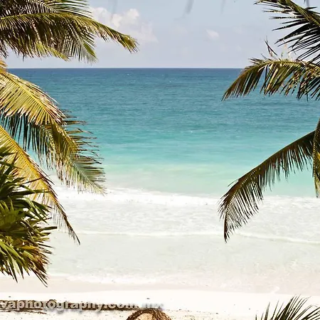 Rosa Del Viento Tulum