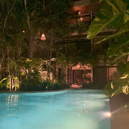 Jungle View 2bed 2bath Condo/ Wi-fi/ Pool/ Gym * Tulum