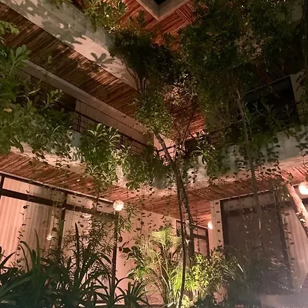 Jungle View 2bed 2bath Condo/ Wi-fi/ Pool/ Gym