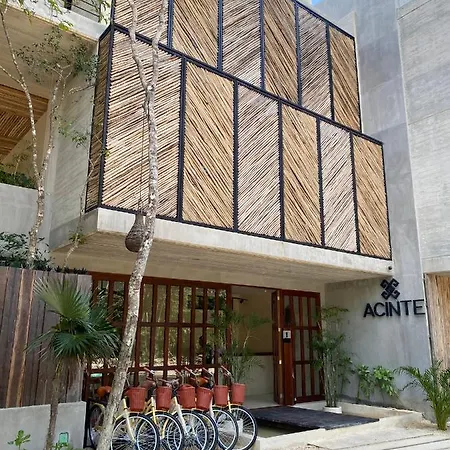 Apartment Jungle View 2bed 2bath Condo/ Wi-fi/ Pool/ Gym