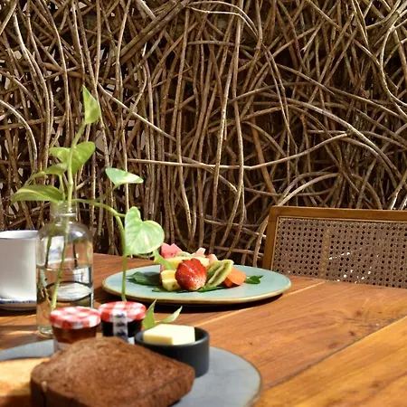 Esplendor By Wyndham Nook Hotel Tulum