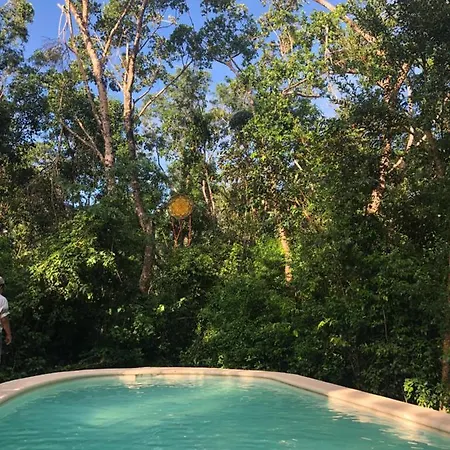 Casa Tzalam Selva 4*