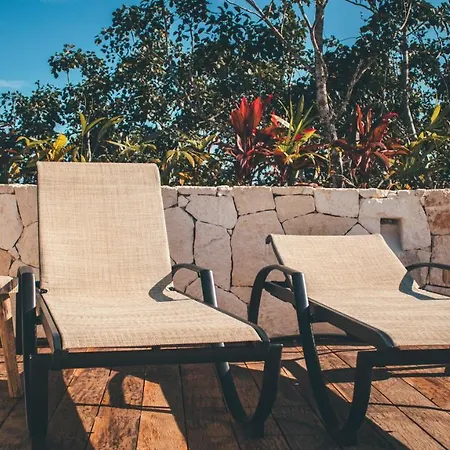 Vida Jungle 1 With Special Fee To Access Bardo * Tulum