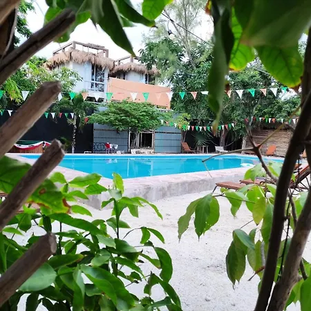The - Food, Drinks And Transportation To The And Cenotes Hostel *