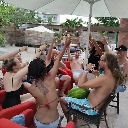 The - Food, Drinks And Transportation To The And Cenotes *