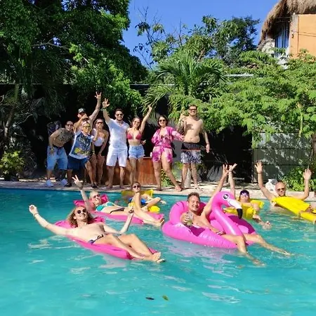 The - Food, Drinks And Transportation To The And Cenotes *