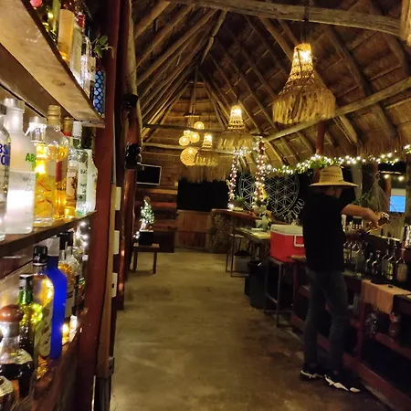 Hostel The - Food, Drinks And Transportation To The And Cenotes Tulum