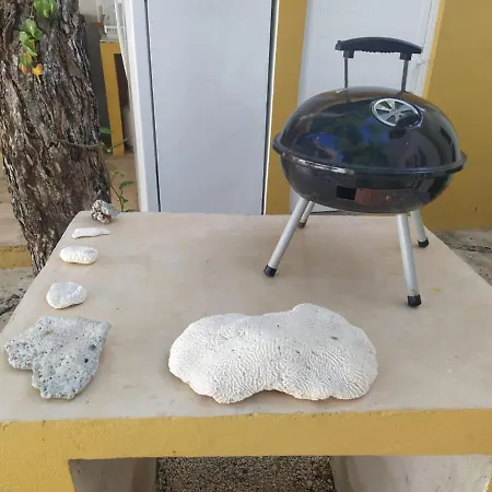 Bluestar Guest house Tulum