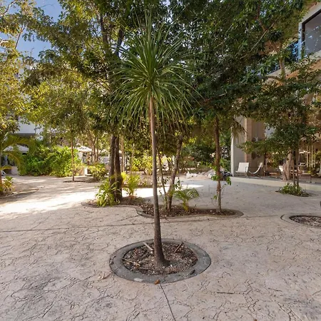 Azalea By Zama Homes * Tulum
