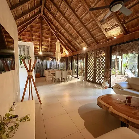 Orchid House Jungle 5*