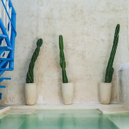 Wakax Hacienda - Cenote & Boutique - Small Luxury Of The World 5* Tulum