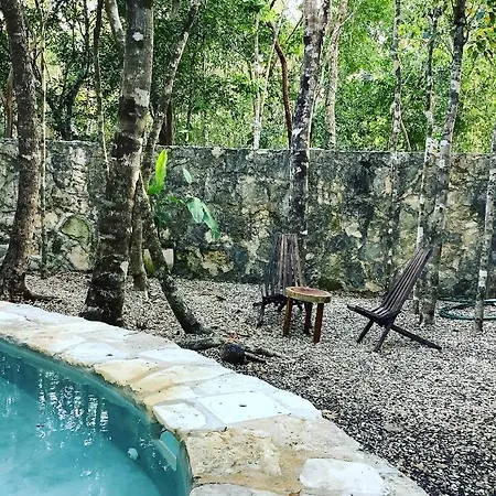 Bed and breakfast Escarabajo Rojo